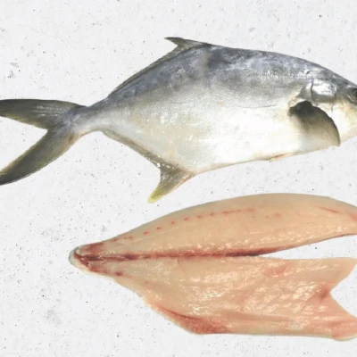 Mini Pampano Fish
